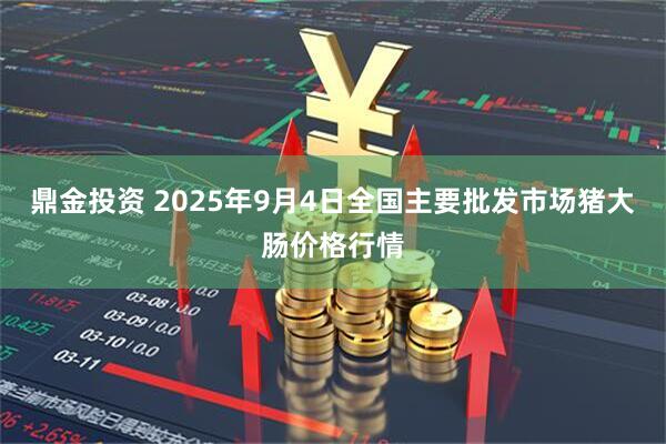 鼎金投资 2025年9月4日全国主要批发市场猪大肠价格行情