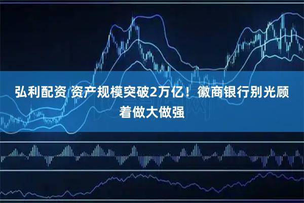 弘利配资 资产规模突破2万亿！徽商银行别光顾着做大做强