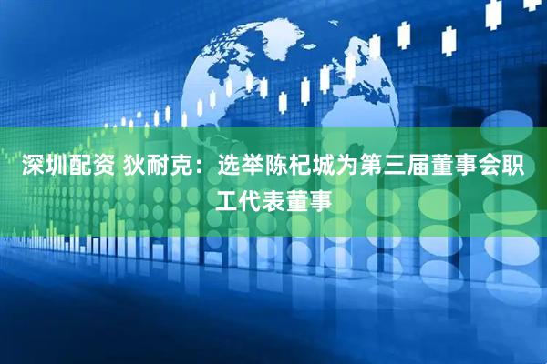 深圳配资 狄耐克：选举陈杞城为第三届董事会职工代表董事