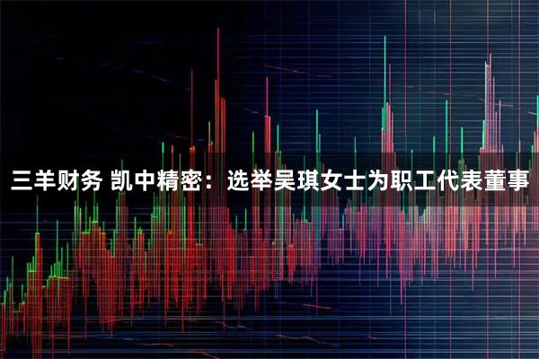 三羊财务 凯中精密：选举吴琪女士为职工代表董事