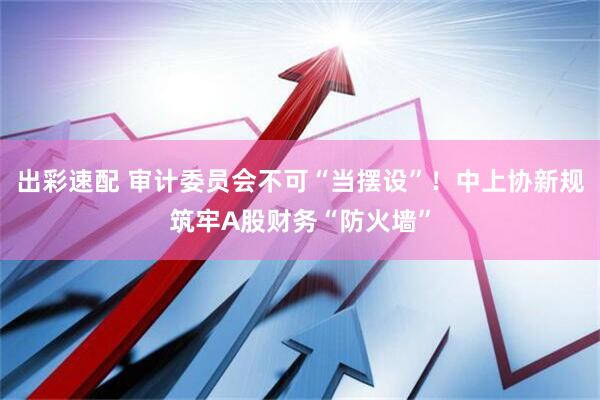 出彩速配 审计委员会不可“当摆设”！中上协新规筑牢A股财务“防火墙”