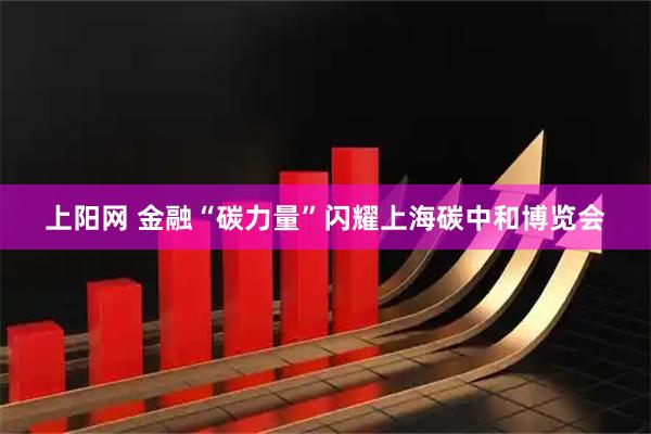 上阳网 金融“碳力量”闪耀上海碳中和博览会