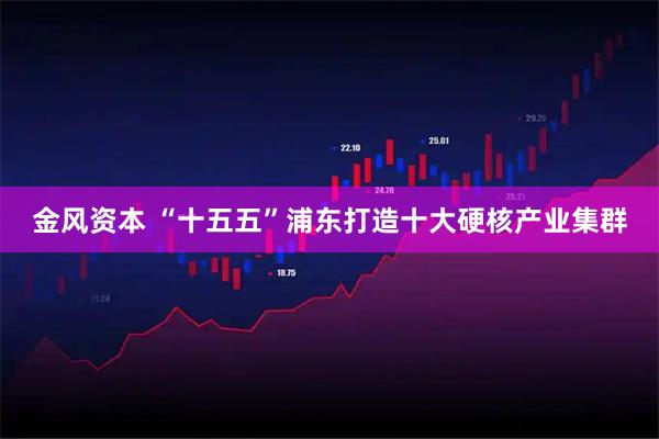 金风资本 “十五五”浦东打造十大硬核产业集群