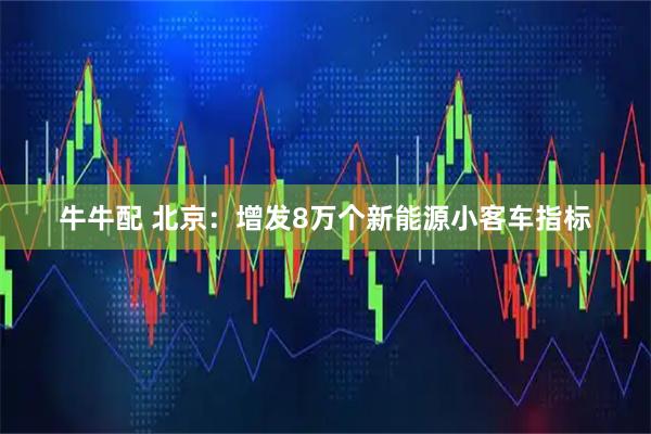 牛牛配 北京：增发8万个新能源小客车指标