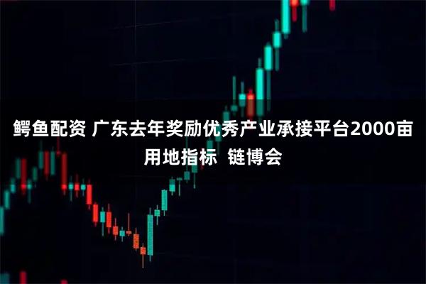 鳄鱼配资 广东去年奖励优秀产业承接平台2000亩用地指标  链博会